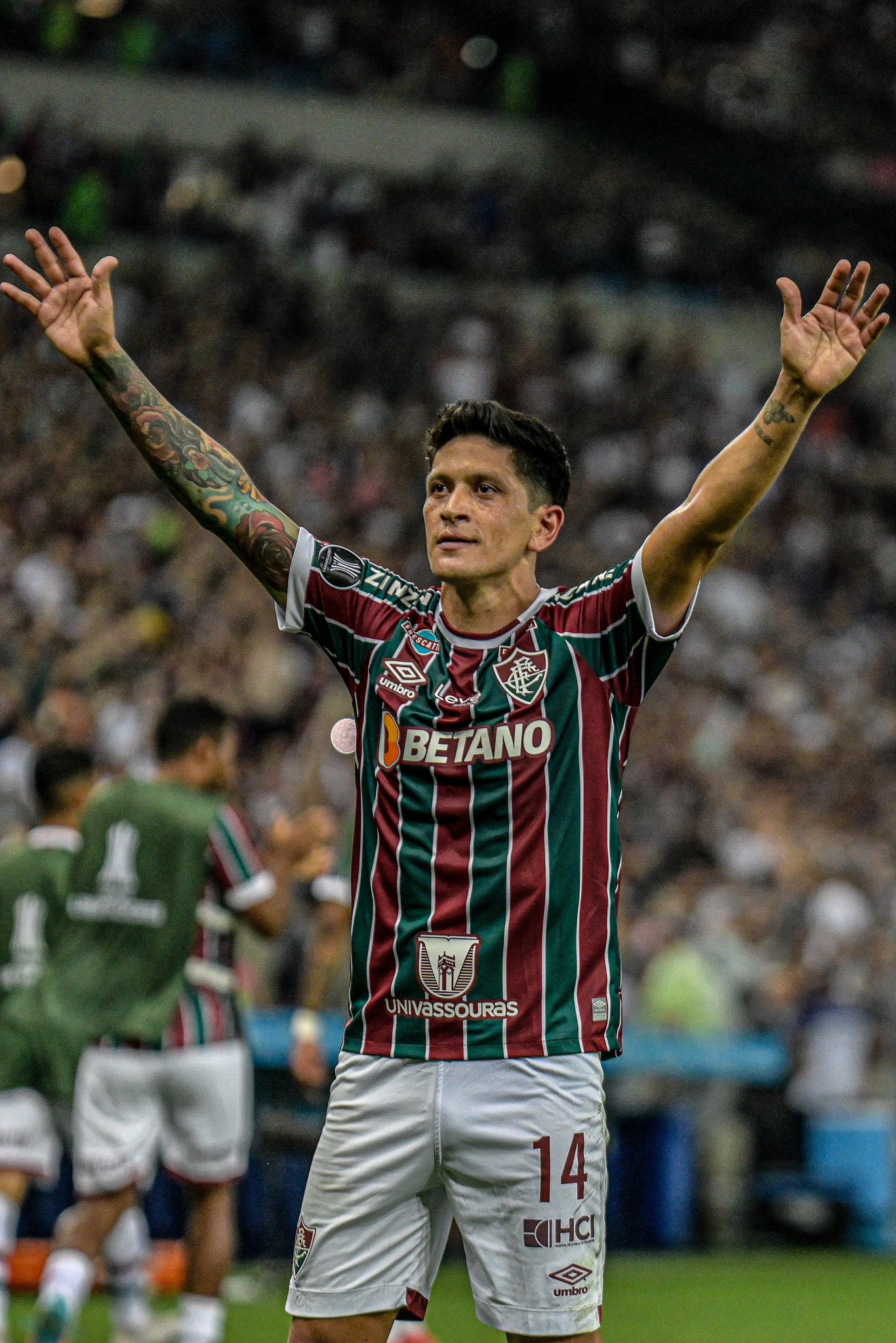 El Fluminense a la final de la Copa Libertadores – Agencia JRF